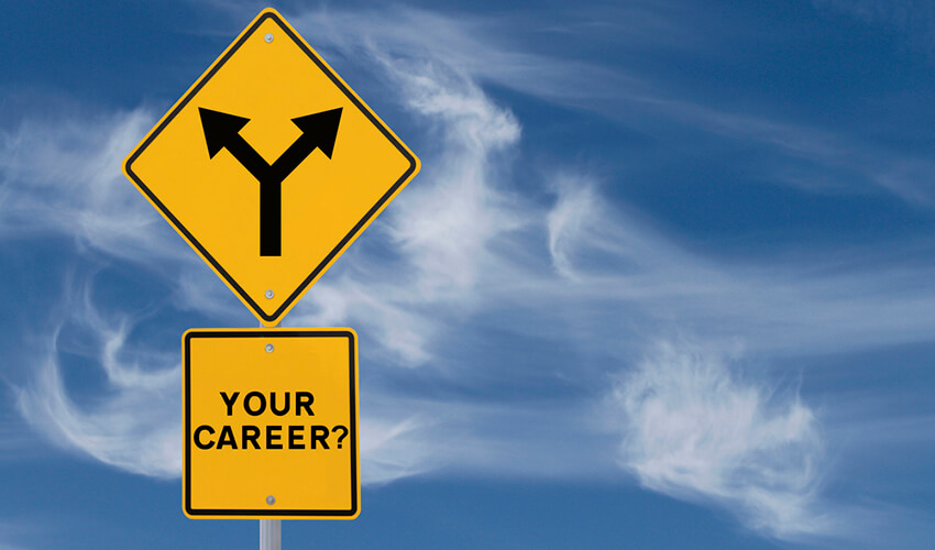 You are currently viewing Decide Your Career Path